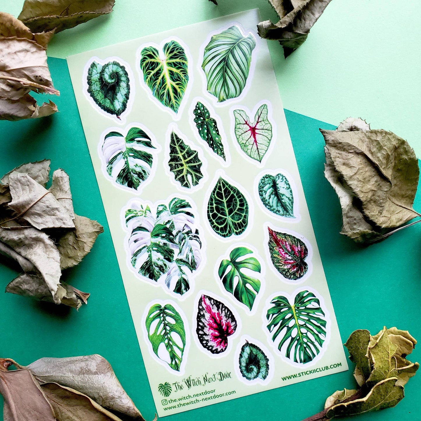 Gorgeous Greens Stickers - 1 Plant Sticker Sheet