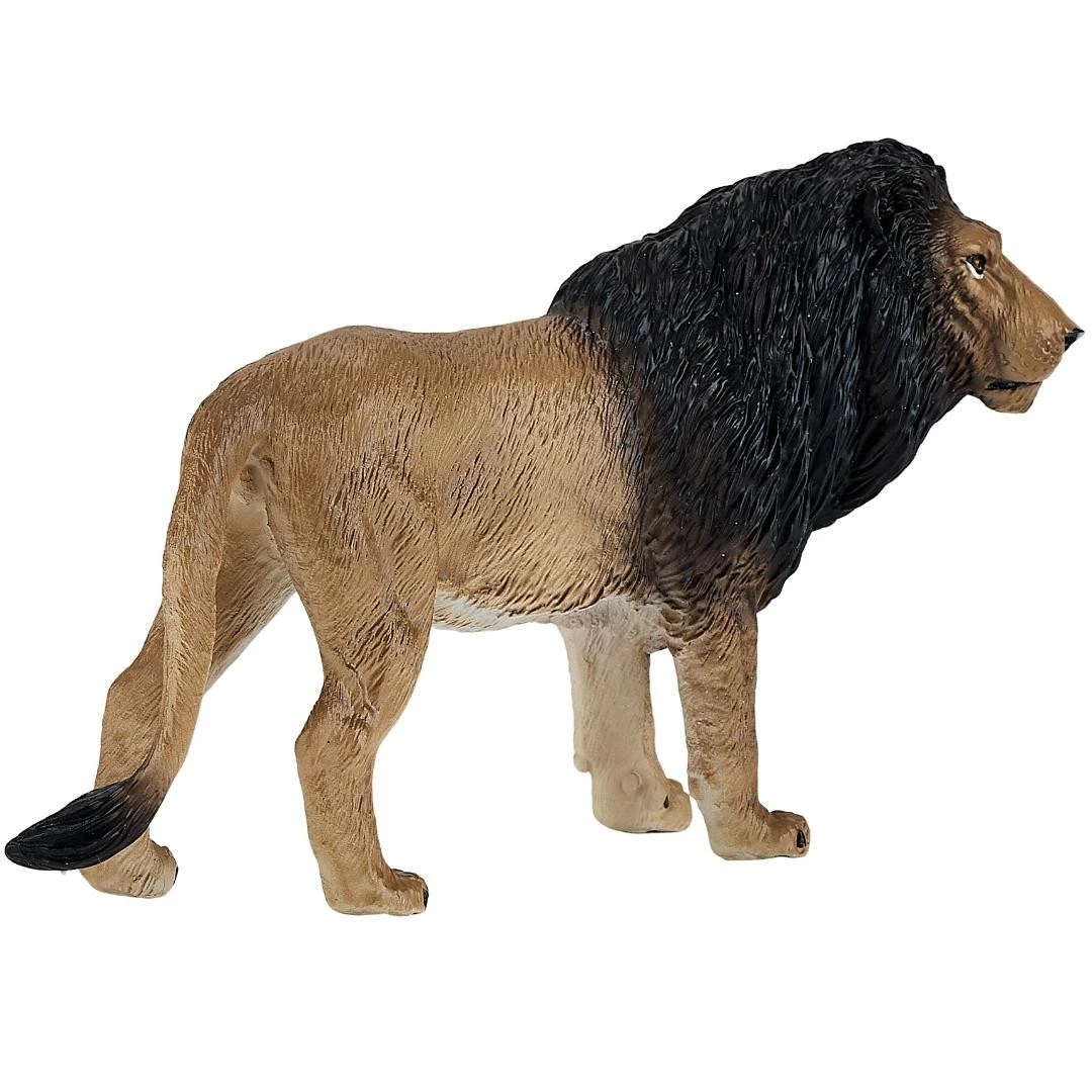 African Lion - Mojo