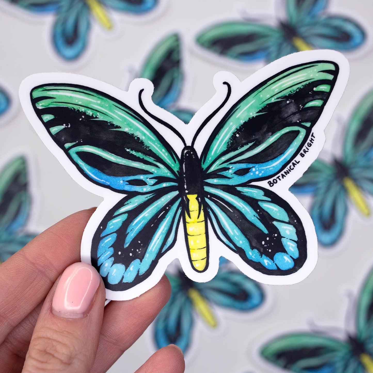 Queen Alexandra's Birdwing Butterfly Sticker - Waterproof Vinyl