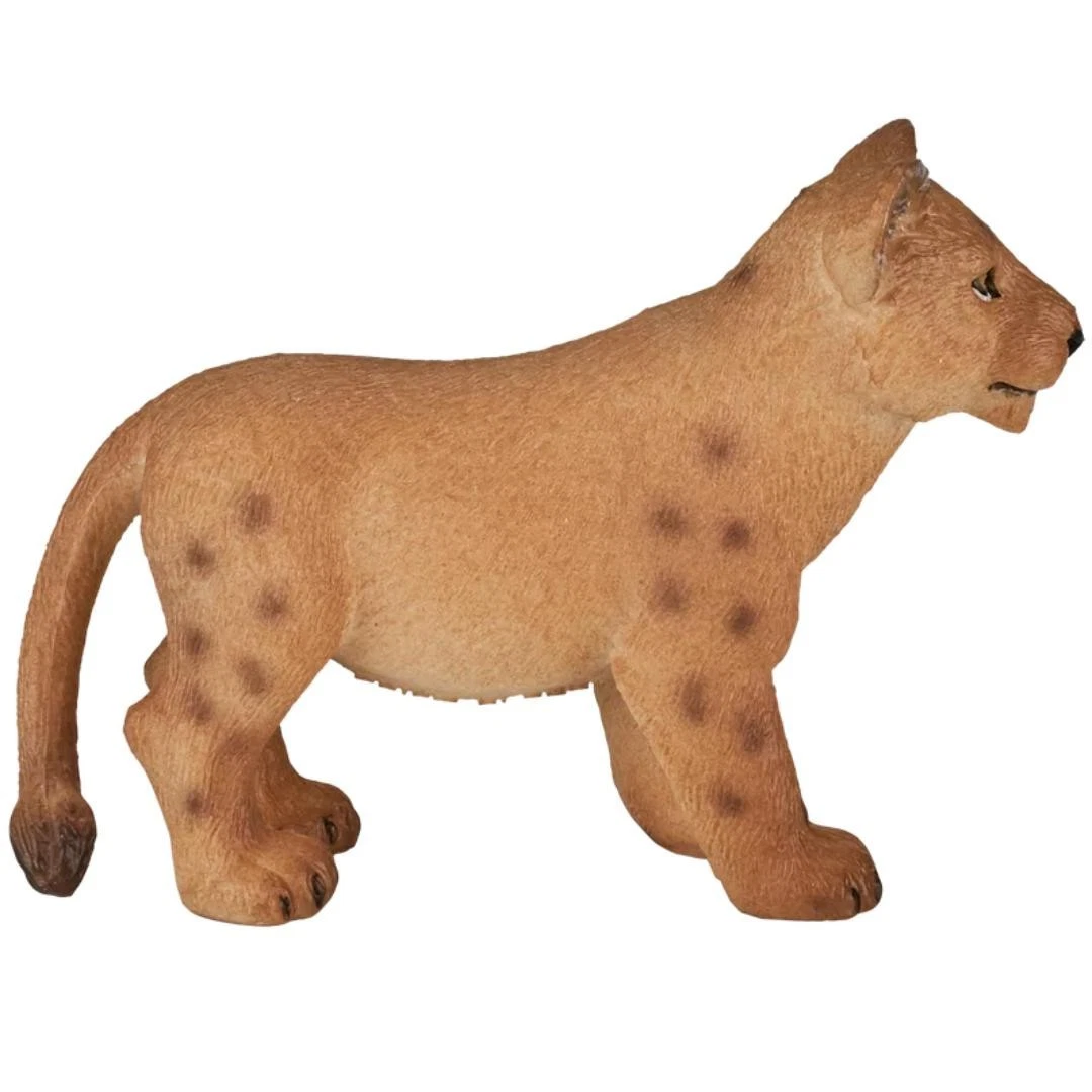 Lion Cub | Standing - Mojo