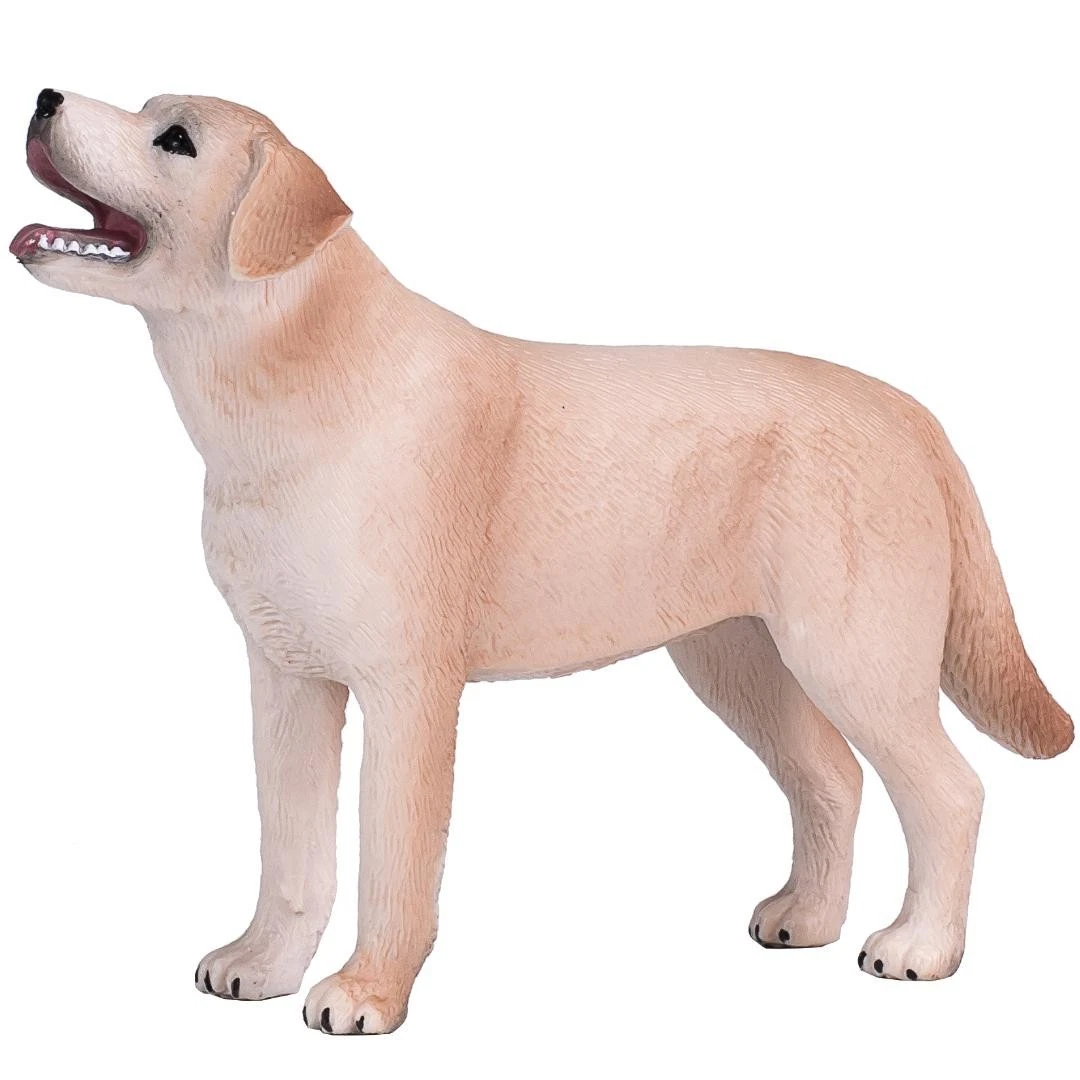 Labrador Dog - Mojo