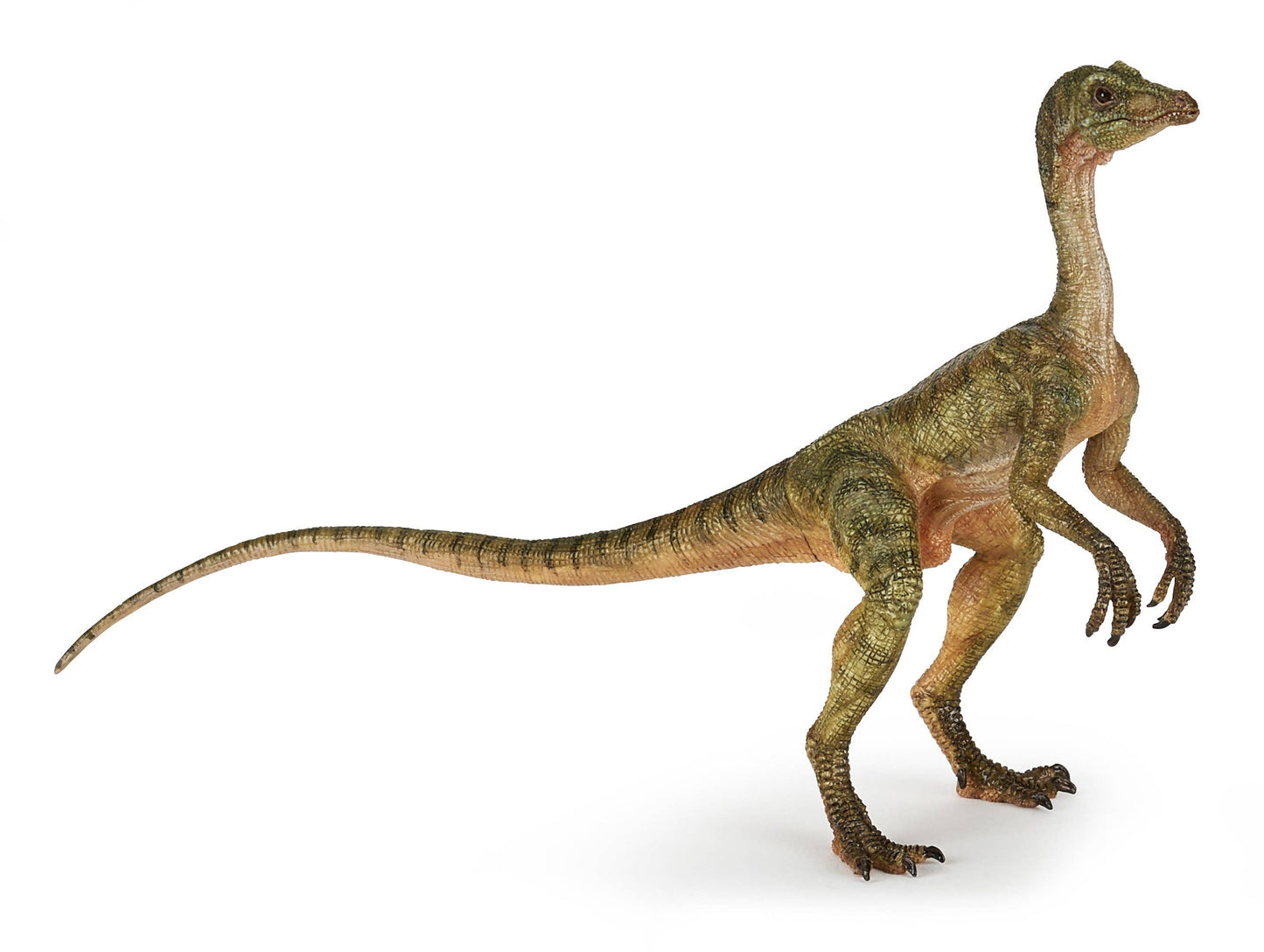 Compsognathus Dinosaur Figure - Hand Painted & Collectible Toy - Papo 55072