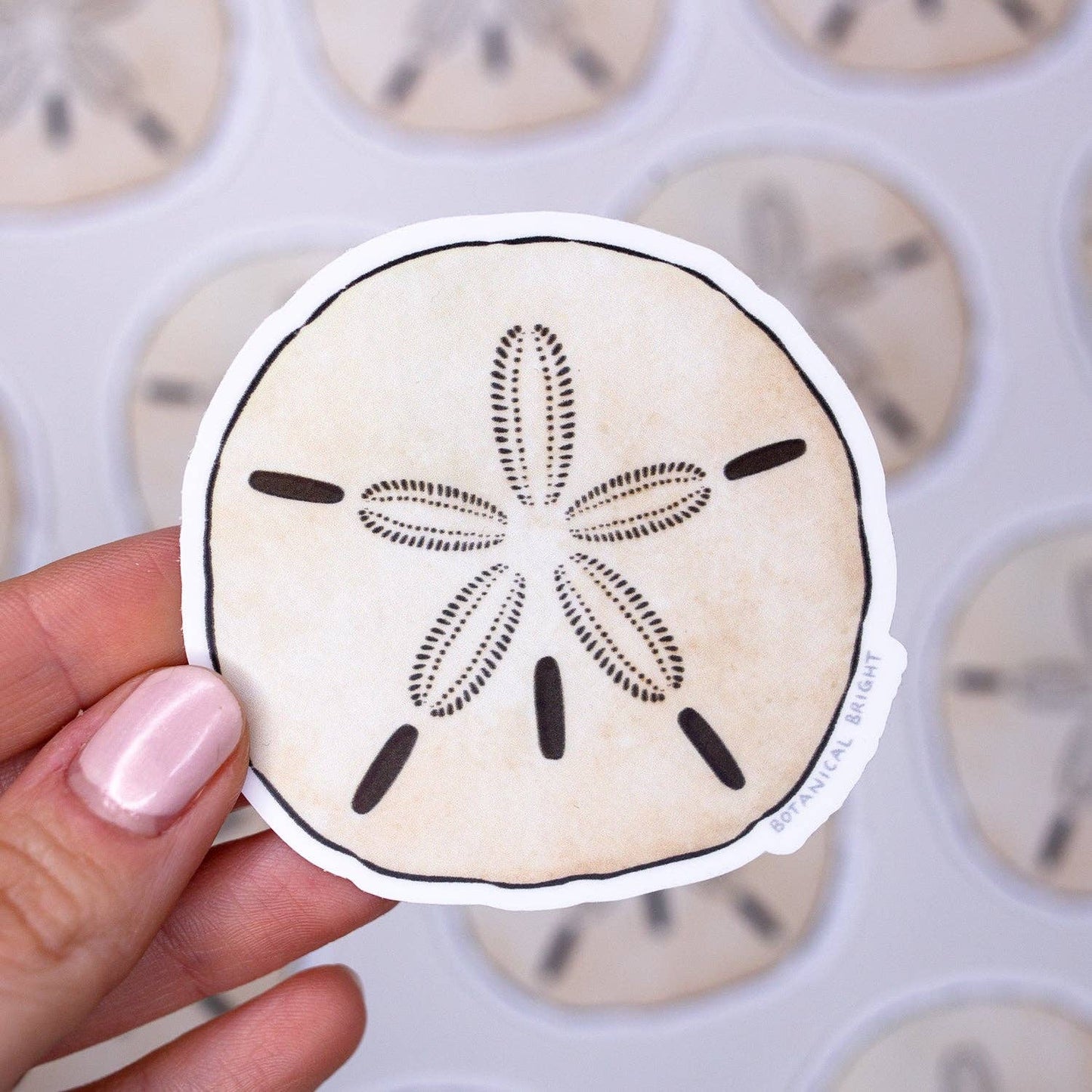 Sand Dollar Sticker - Waterproof Vinyl Beach, Ocean, & Coastal Decal