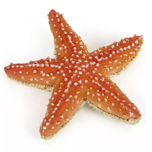 Starfish Figure - Hand Painted - Collectible - Papo 56050