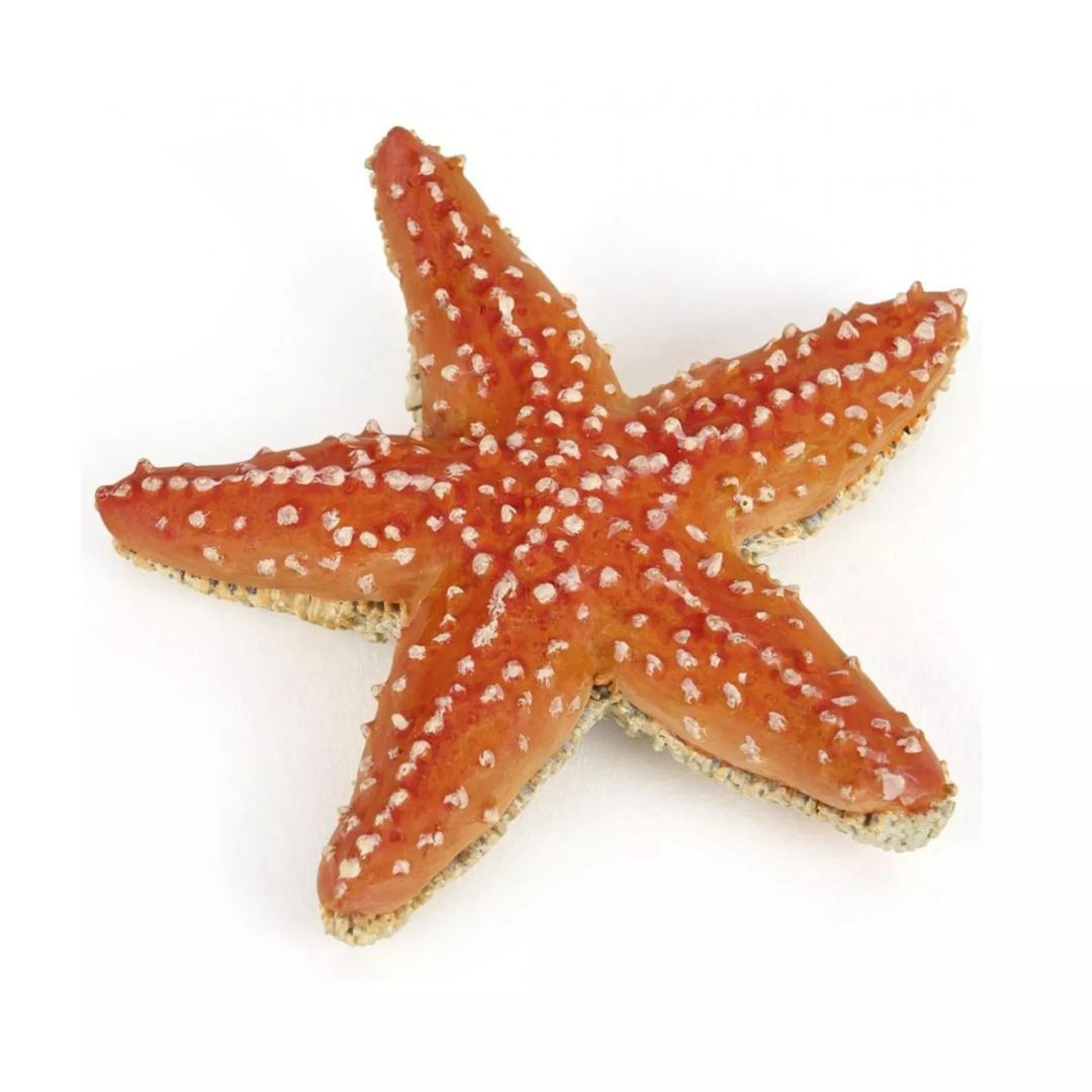 Starfish Figure - Hand Painted - Collectible - Papo 56050