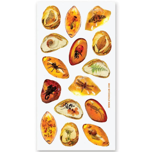 Amber Fossils - Sticker Sheet - Preserved Insects and Plants