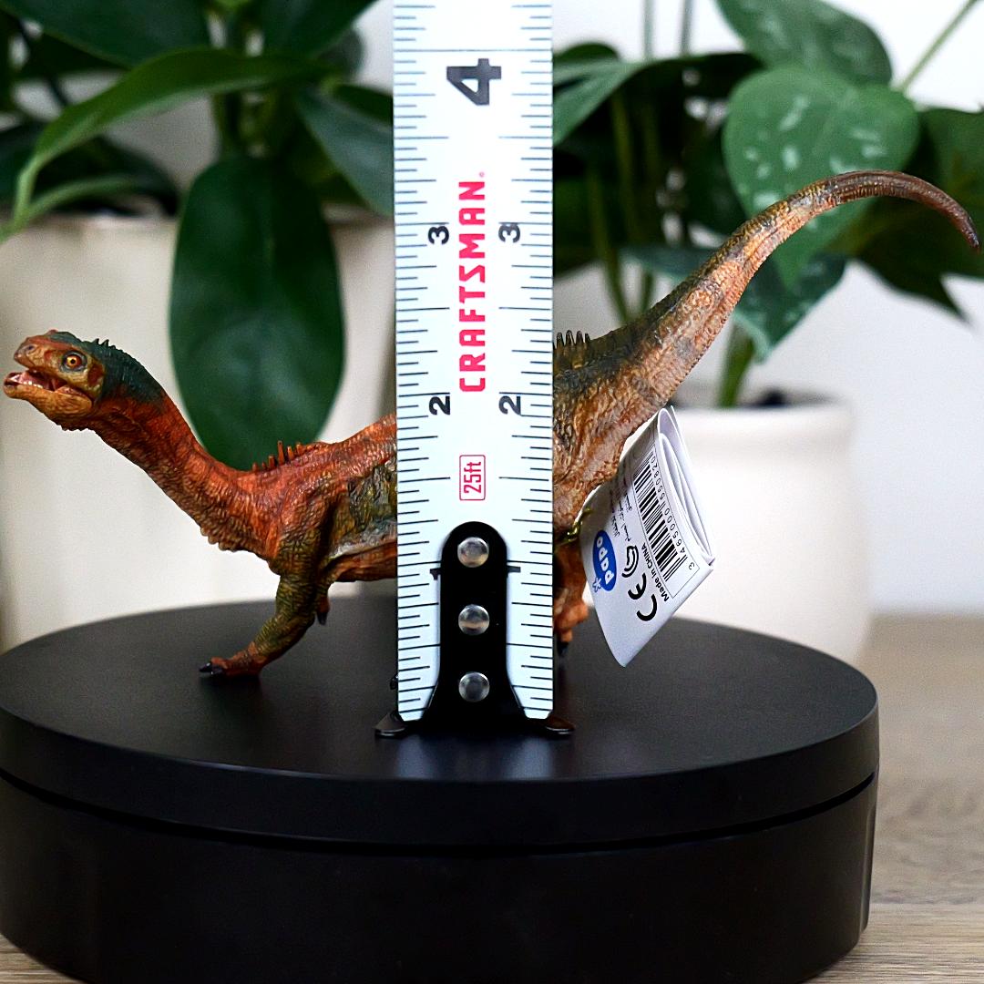 Chilesaurus Dinosaur Figure - Hand Painted & Collectible Toy - Papo 55082