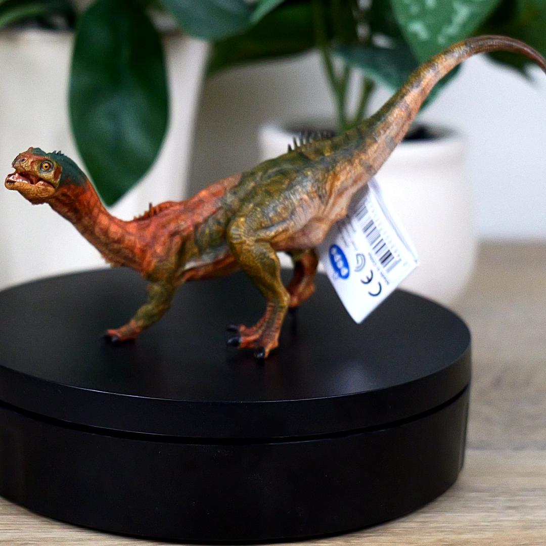 Chilesaurus Dinosaur Figure - Hand Painted & Collectible Toy - Papo 55082