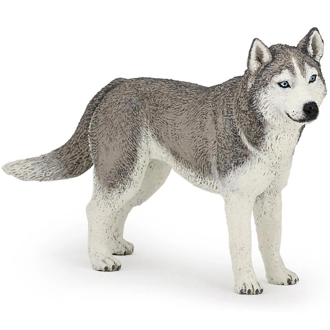 Siberian Husky Dog Figure - Hand Painted & Collectible Toy - Papo 54035