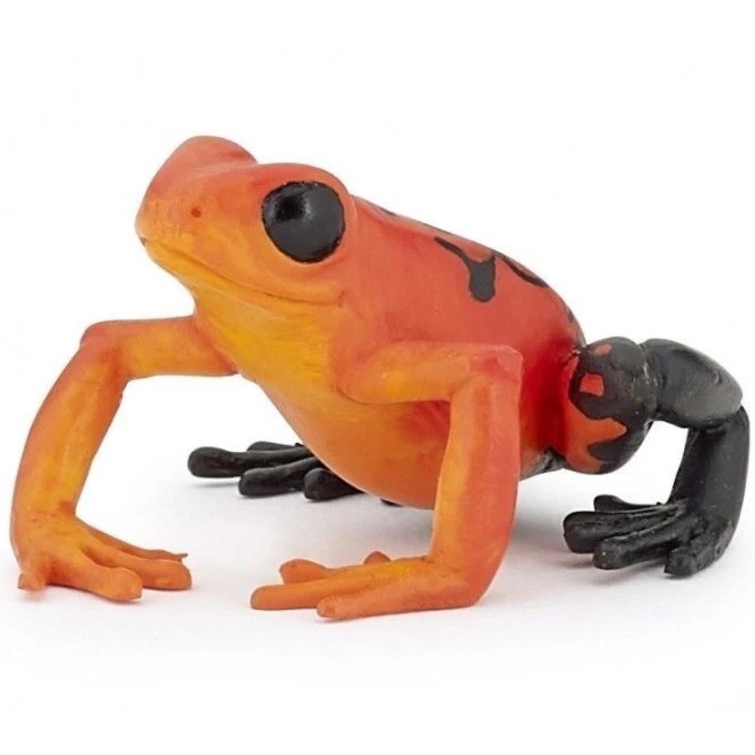Equatorial Red Frog Figure - Hand Painted & Collectible Toy - Papo 50193