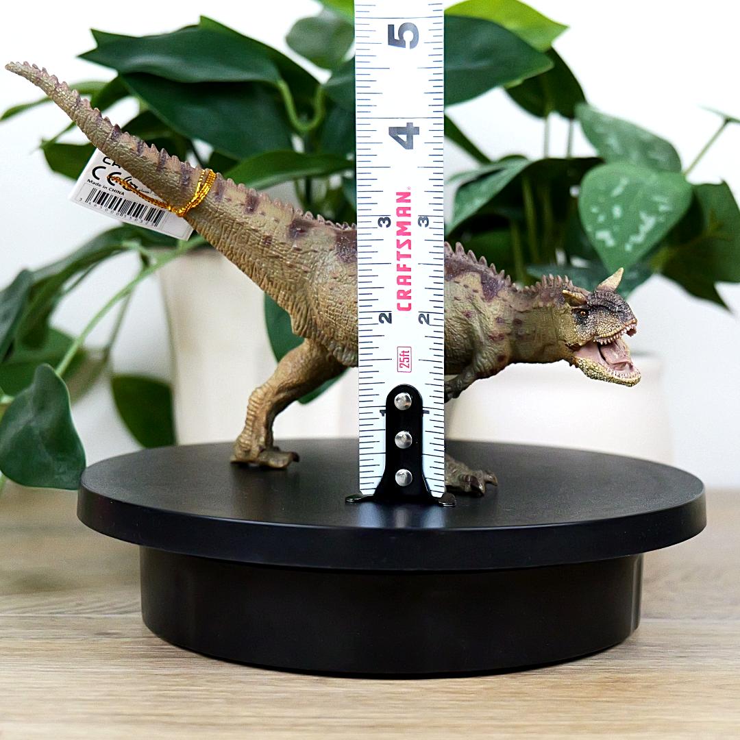 Carnotaurus Dinosaur Figure - Hand Painted & Collectible Toy - Papo 55032