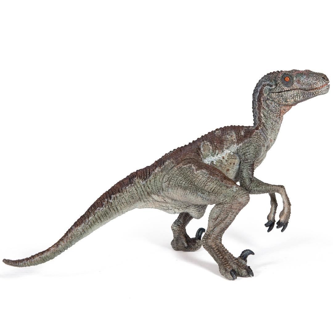 Velociraptor Dinosaur Figure - Hand Painted & Collectible Toy - Papo 55023