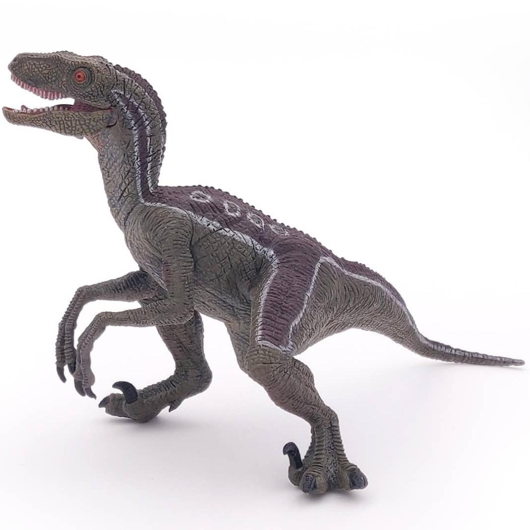 Velociraptor Dinosaur Figure - Hand Painted & Collectible Toy - Papo 55023