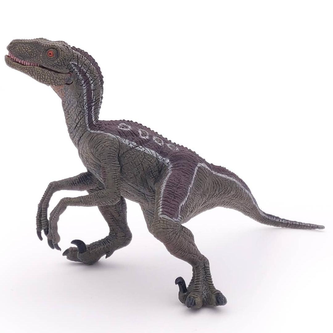 Velociraptor Dinosaur Figure - Hand Painted & Collectible Toy - Papo 55023