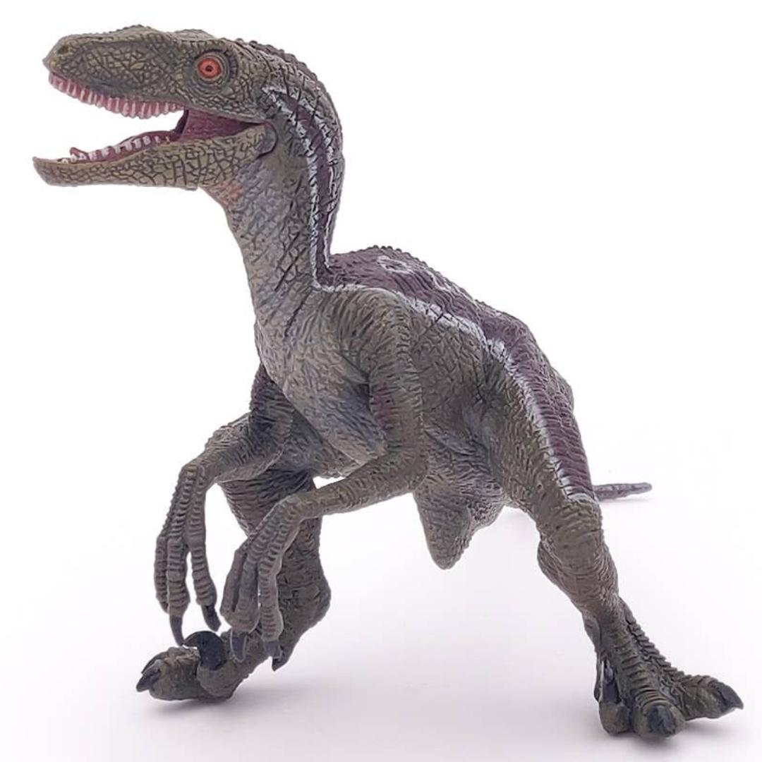 Velociraptor Dinosaur Figure - Hand Painted & Collectible Toy - Papo 55023