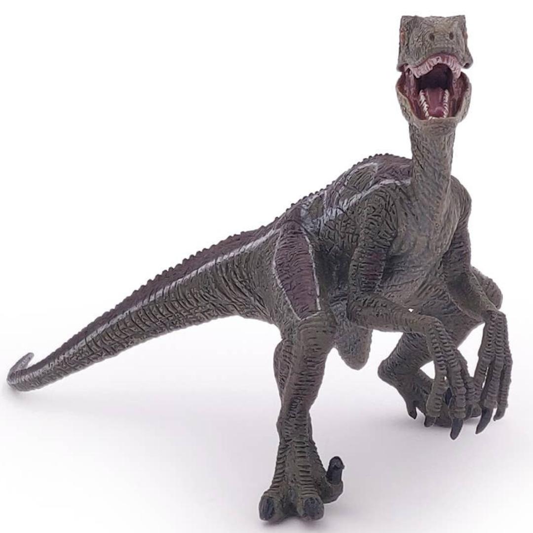 Velociraptor Dinosaur Figure - Hand Painted & Collectible Toy - Papo 55023