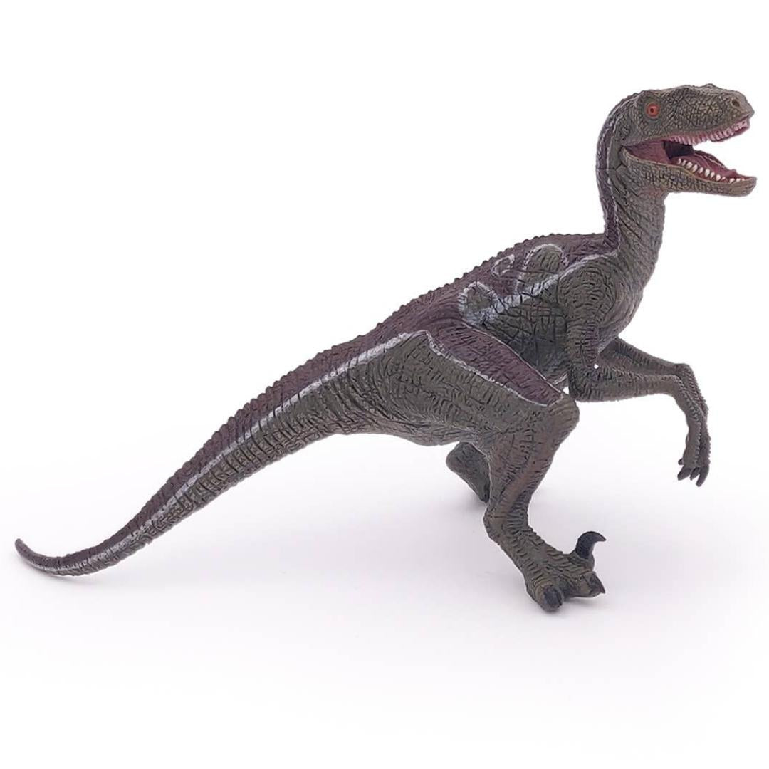 Velociraptor Dinosaur Figure - Hand Painted & Collectible Toy - Papo 55023