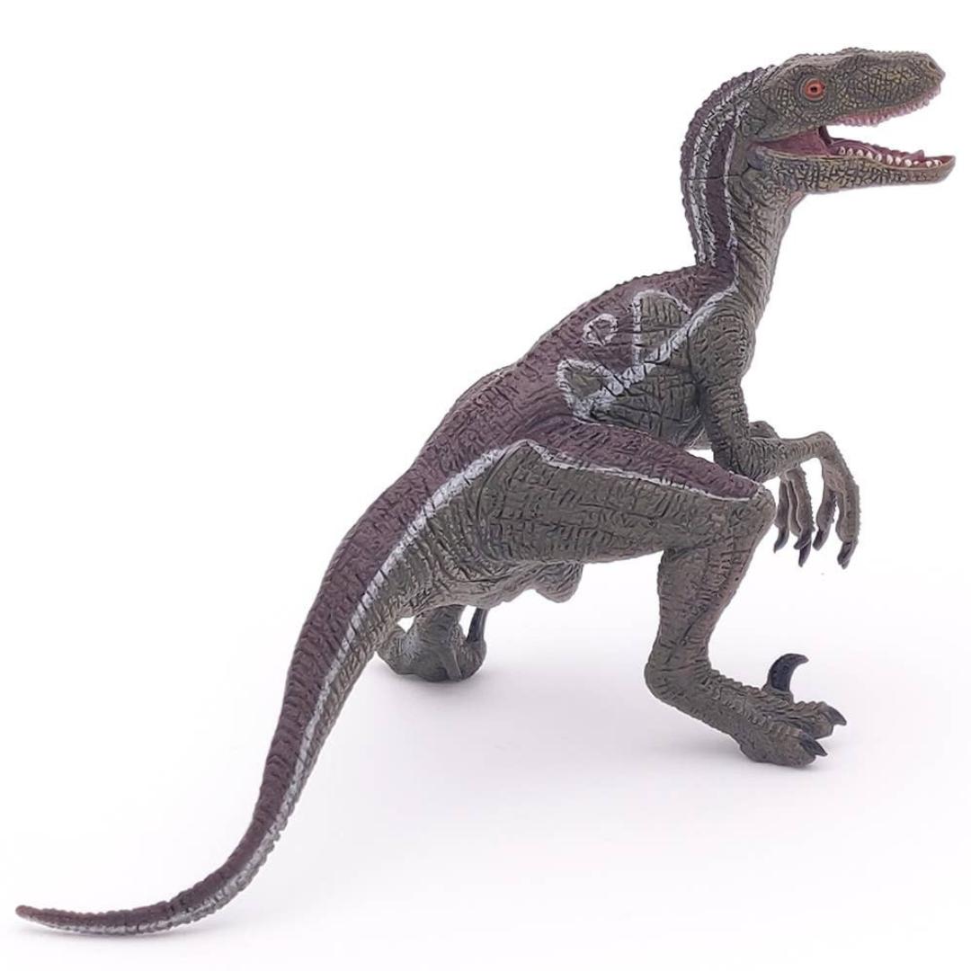 Velociraptor Dinosaur Figure - Hand Painted & Collectible Toy - Papo 55023