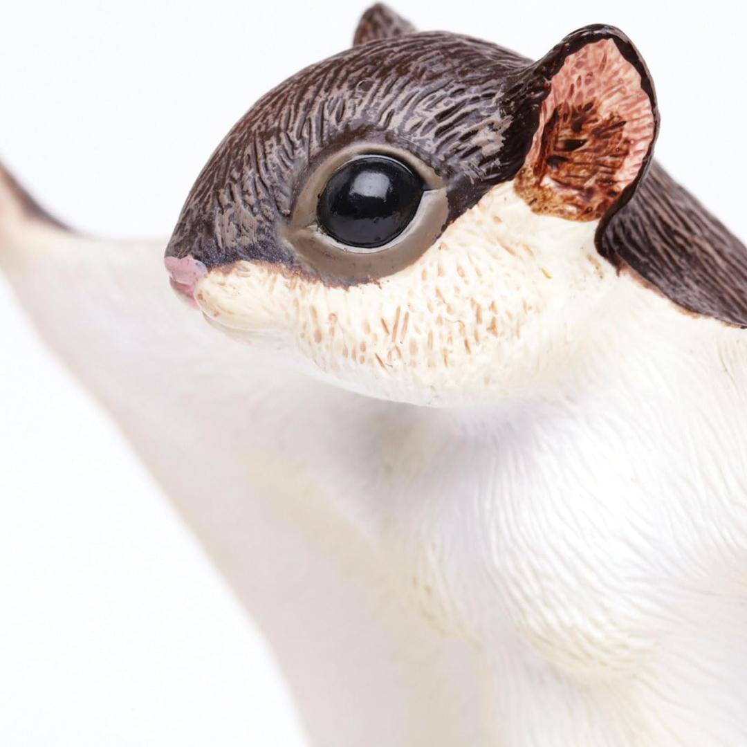 Flying Squirrel Animal Figure - Hand Painted & Collectible Toy - Safari Ltd 250229