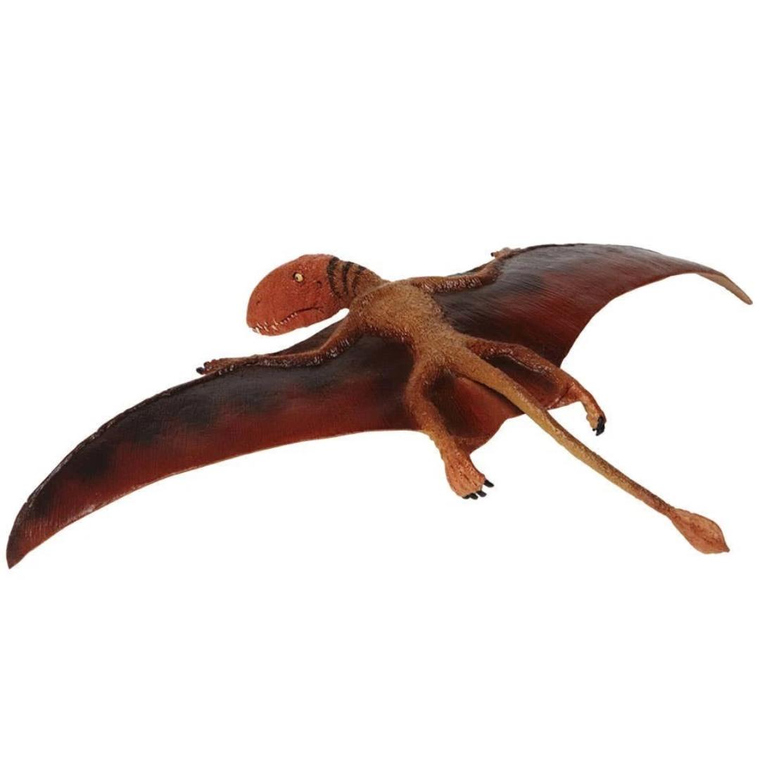 Dimorphodon Dinosaur Figure - Hand Painted & Collectible Toy - Safari Ltd 304729