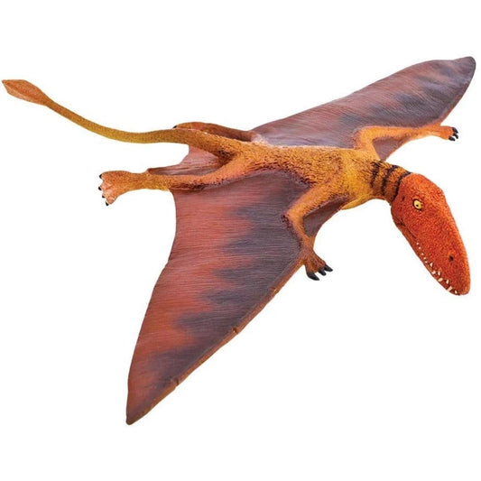 Dimorphodon Dinosaur Figure - Hand Painted & Collectible Toy - Safari Ltd 304729