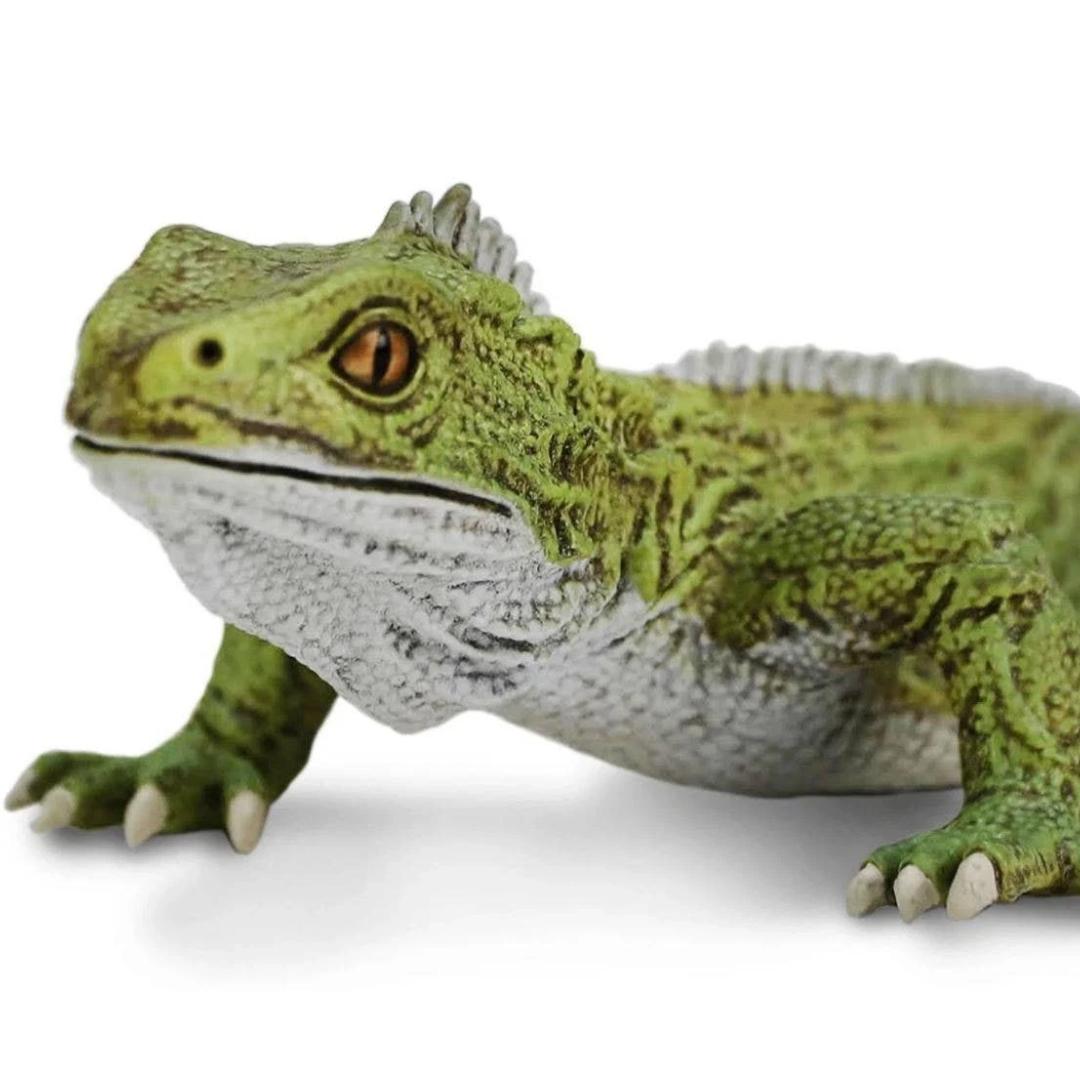 Tuatara Reptile Figure - Hand Painted & Collectible Toy - Safari Ltd 102503