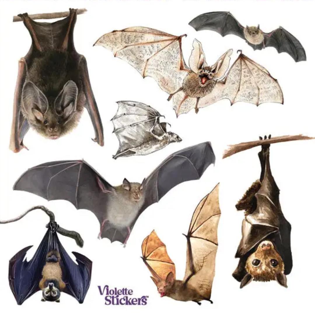 Bat Stickers - 2 Sticker Sheets for Stationary, Scrapbooking, & More