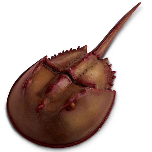 Horseshoe Crab Figure - Hand Painted & Collectible Toy - Safari Ltd 261429