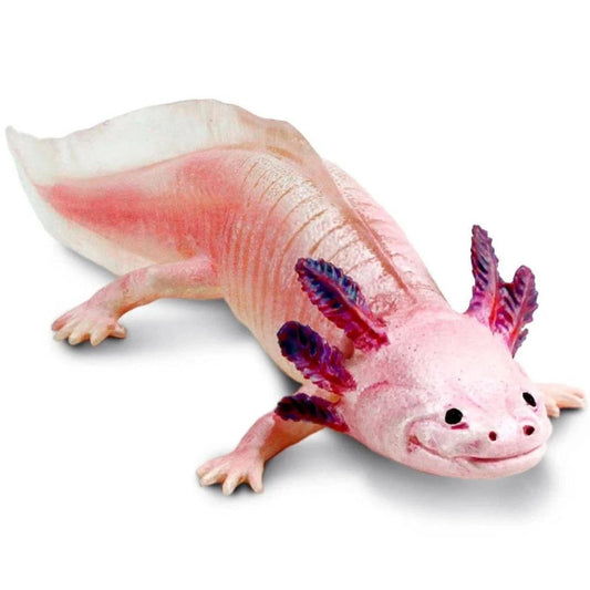 Axolotl Figurine - Hand Painted & Collectible Toy - Safari Ltd 104650