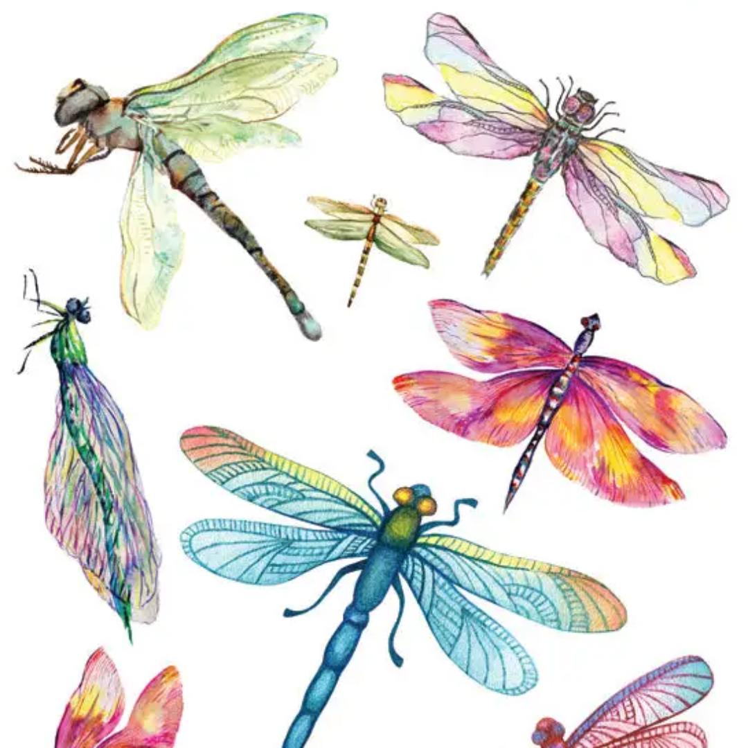 Dragonfly Stickers - 2 Sticker Sheets for Stationary, Scrapbooking, & More