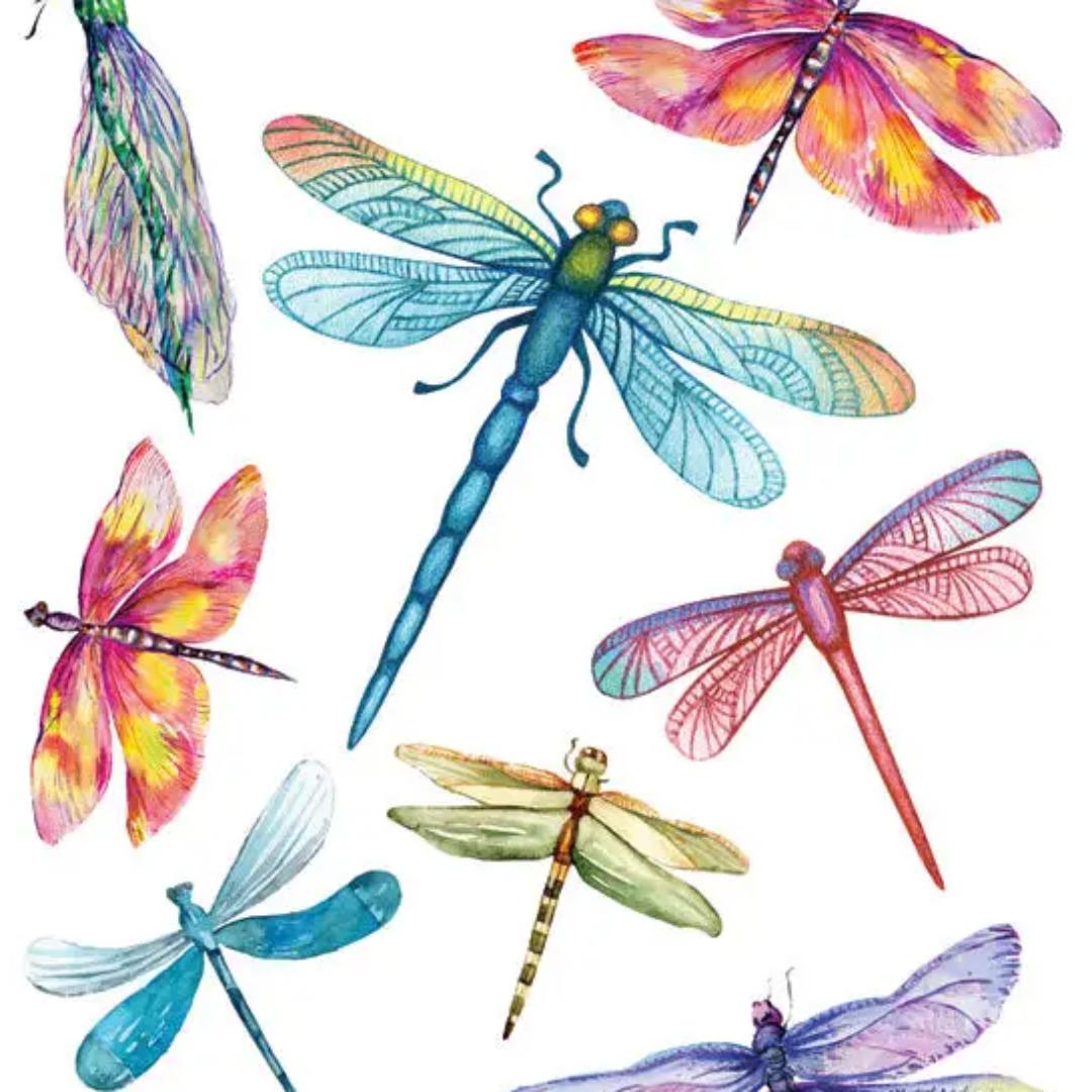 Dragonfly Stickers - 2 Sticker Sheets for Stationary, Scrapbooking, & More