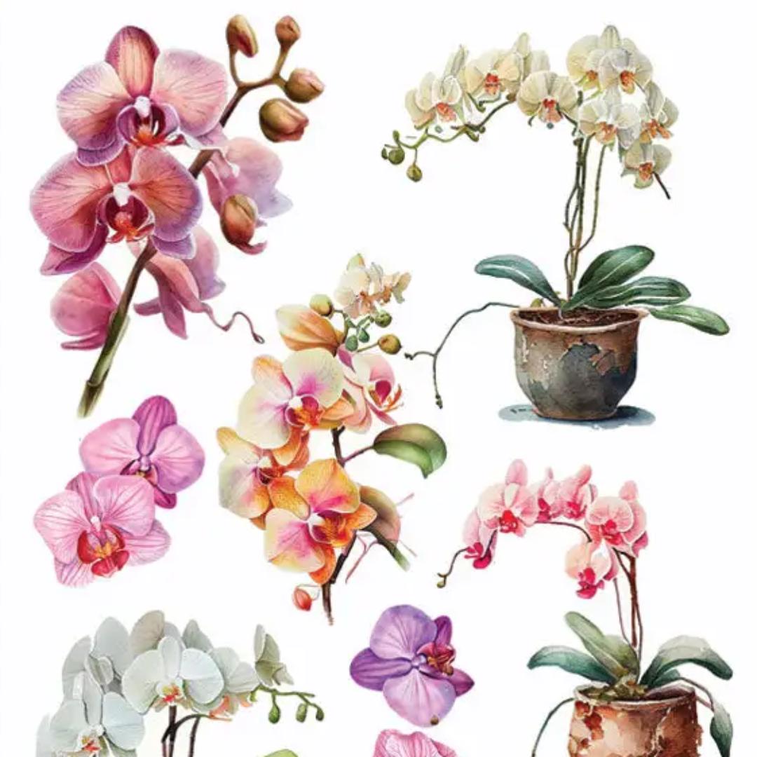 Orchid Flower Stickers - 2 Sticker Sheets for Stationary, Scrapbooking, & More