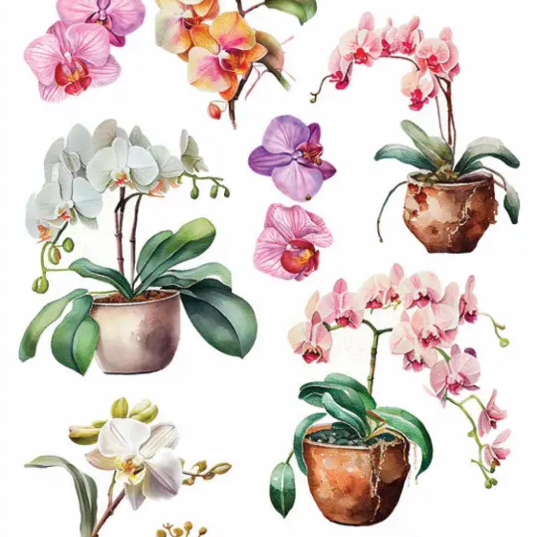 Orchid Flower Stickers - 2 Sticker Sheets for Stationary, Scrapbooking, & More
