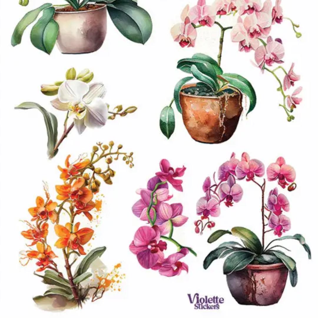Orchid Flower Stickers - 2 Sticker Sheets for Stationary, Scrapbooking, & More