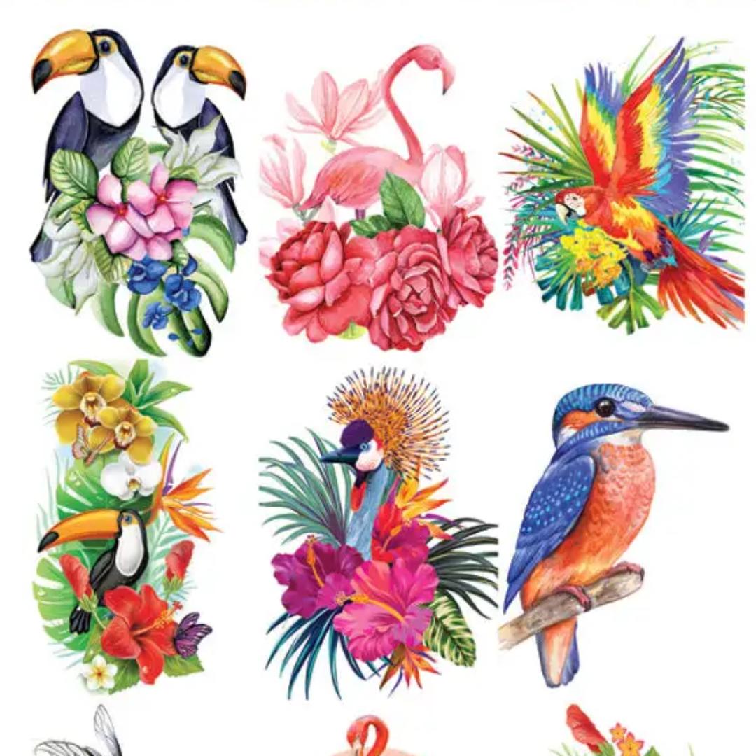 Hawaiian Bird Stickers - 2 Sticker Sheets for Stationary, Scrapbooking, & More