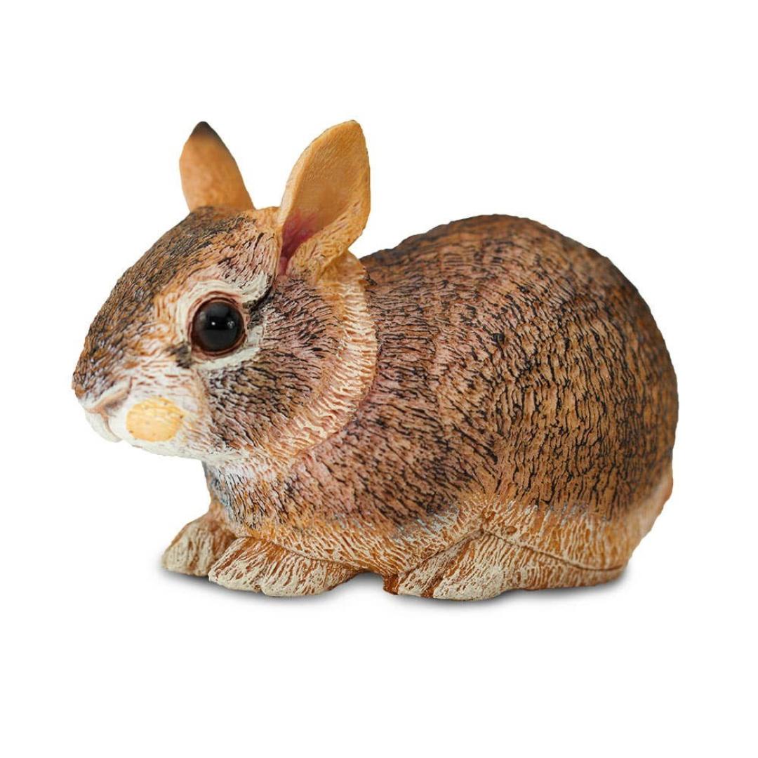 Eastern Cottontail Rabbit Baby Figure - Hand Painted & Collectible Toy - Safari Ltd 262129