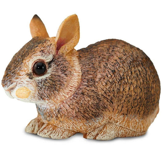 Eastern Cottontail Rabbit Baby Figure - Hand Painted & Collectible Toy - Safari Ltd 262129