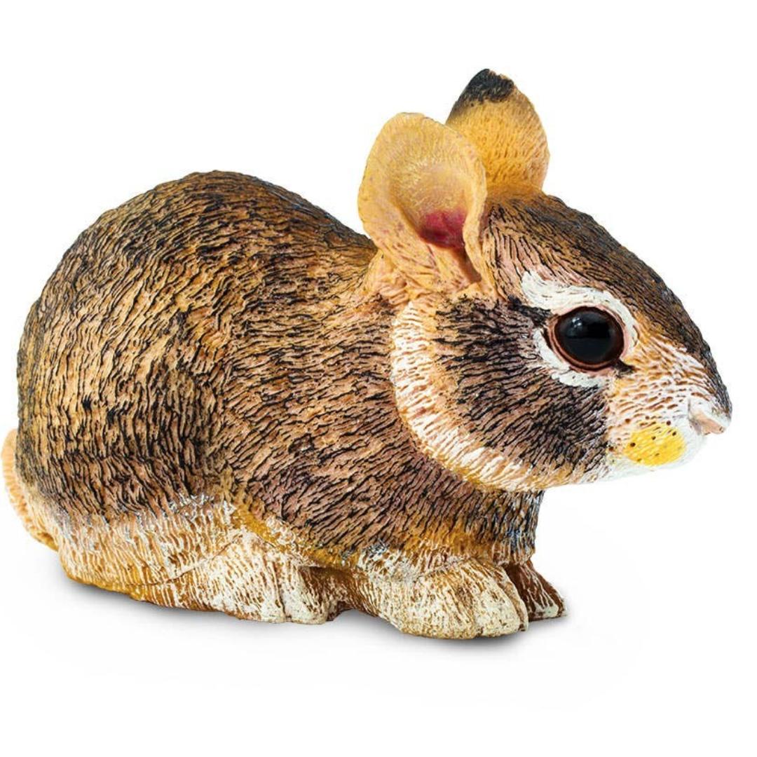 Eastern Cottontail Rabbit Baby Figure - Hand Painted & Collectible Toy - Safari Ltd 262129