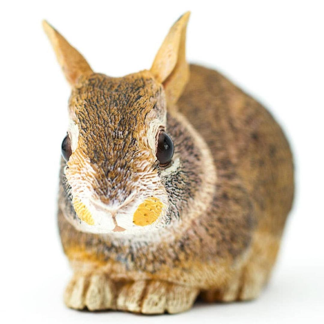 Eastern Cottontail Rabbit Baby Figure - Hand Painted & Collectible Toy - Safari Ltd 262129