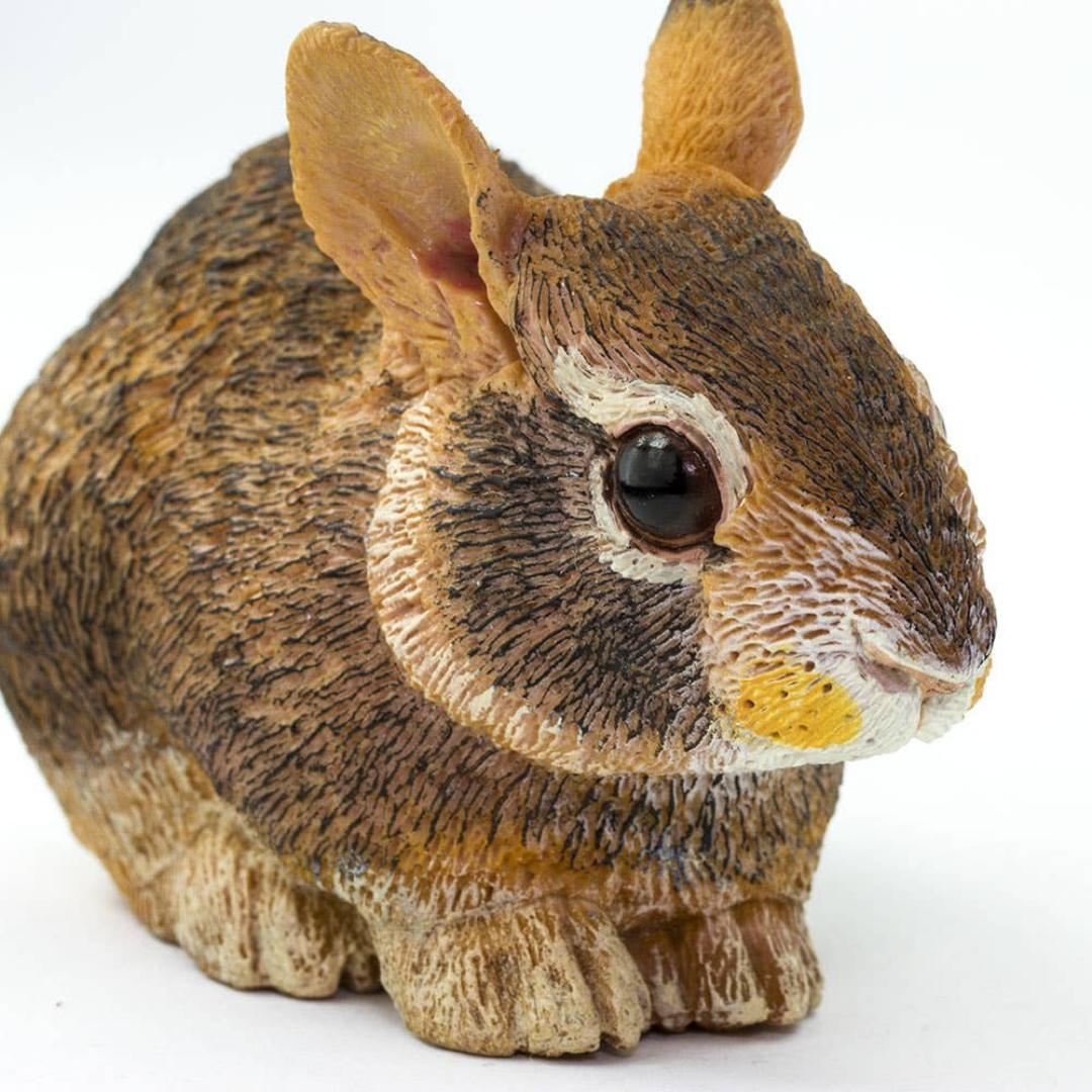 Eastern Cottontail Rabbit Baby Figure - Hand Painted & Collectible Toy - Safari Ltd 262129