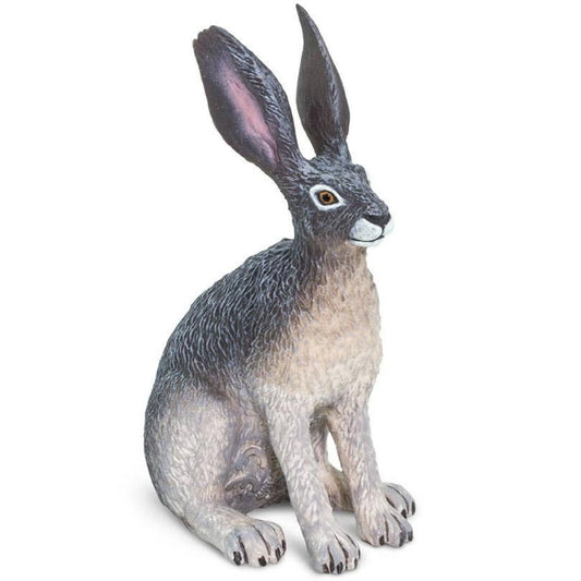American Desert Hare Figure - Hand Painted & Collectible Toy - Safari Ltd 182029
