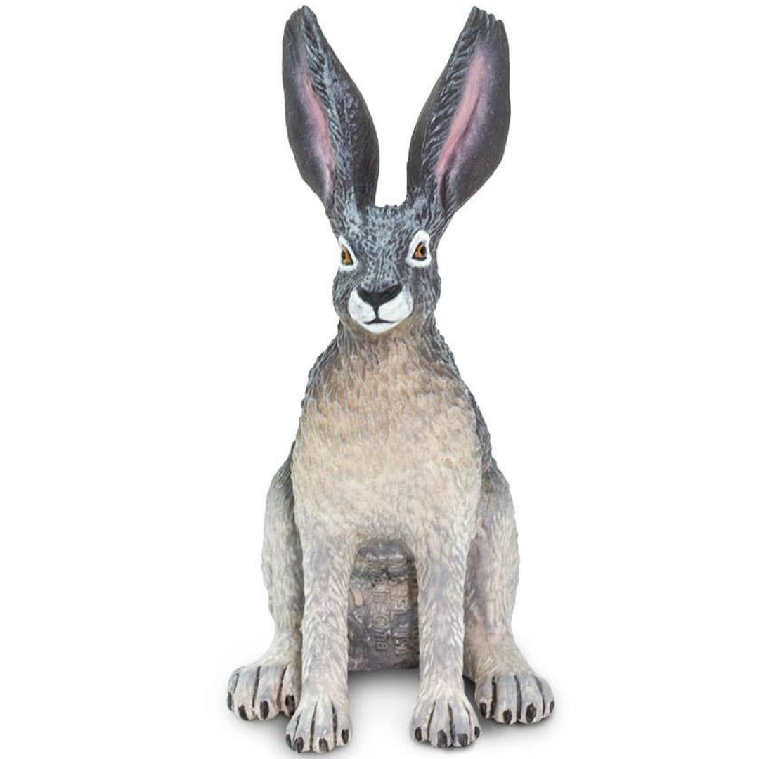 American Desert Hare Figure - Hand Painted & Collectible Toy - Safari Ltd 182029