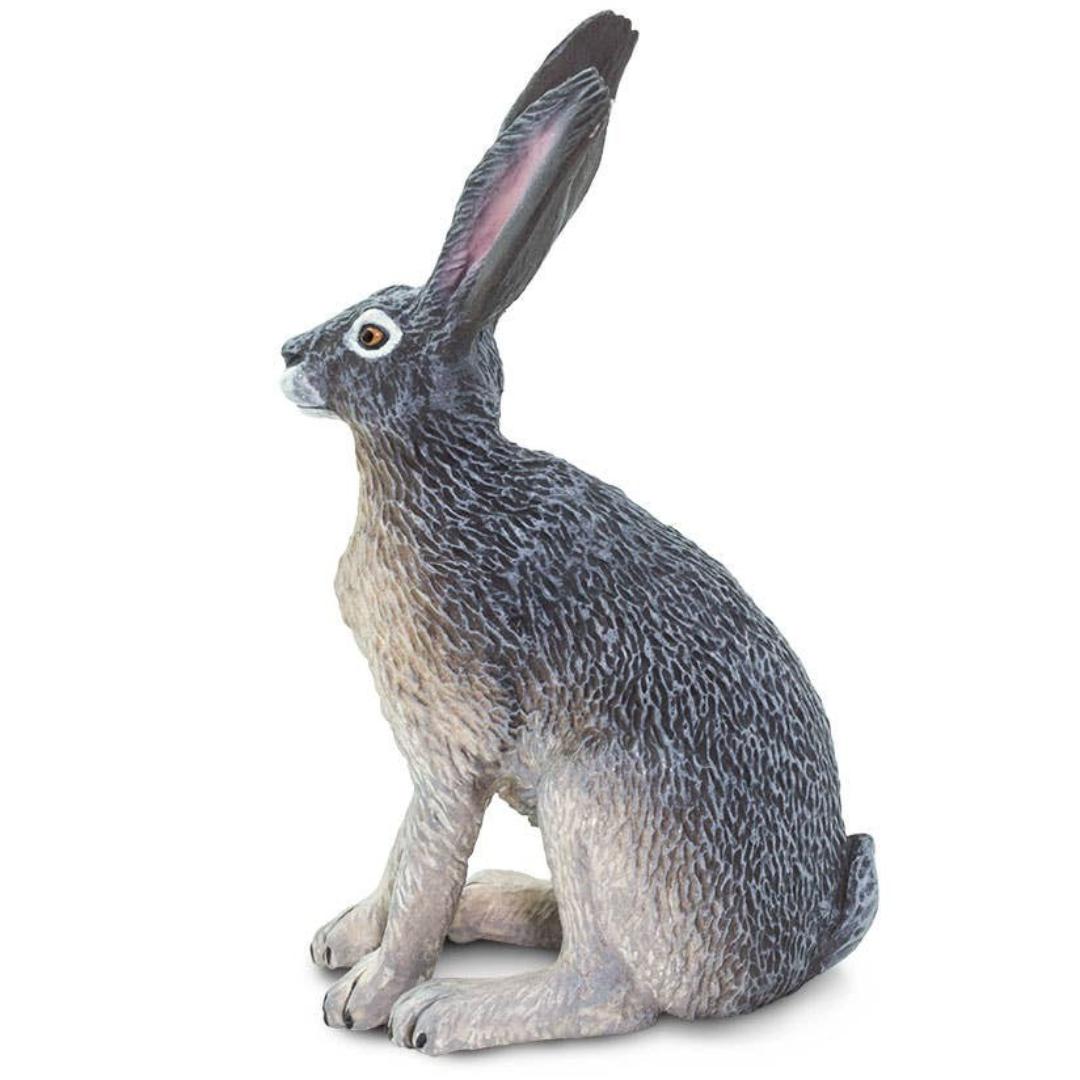 American Desert Hare Figure - Hand Painted & Collectible Toy - Safari Ltd 182029