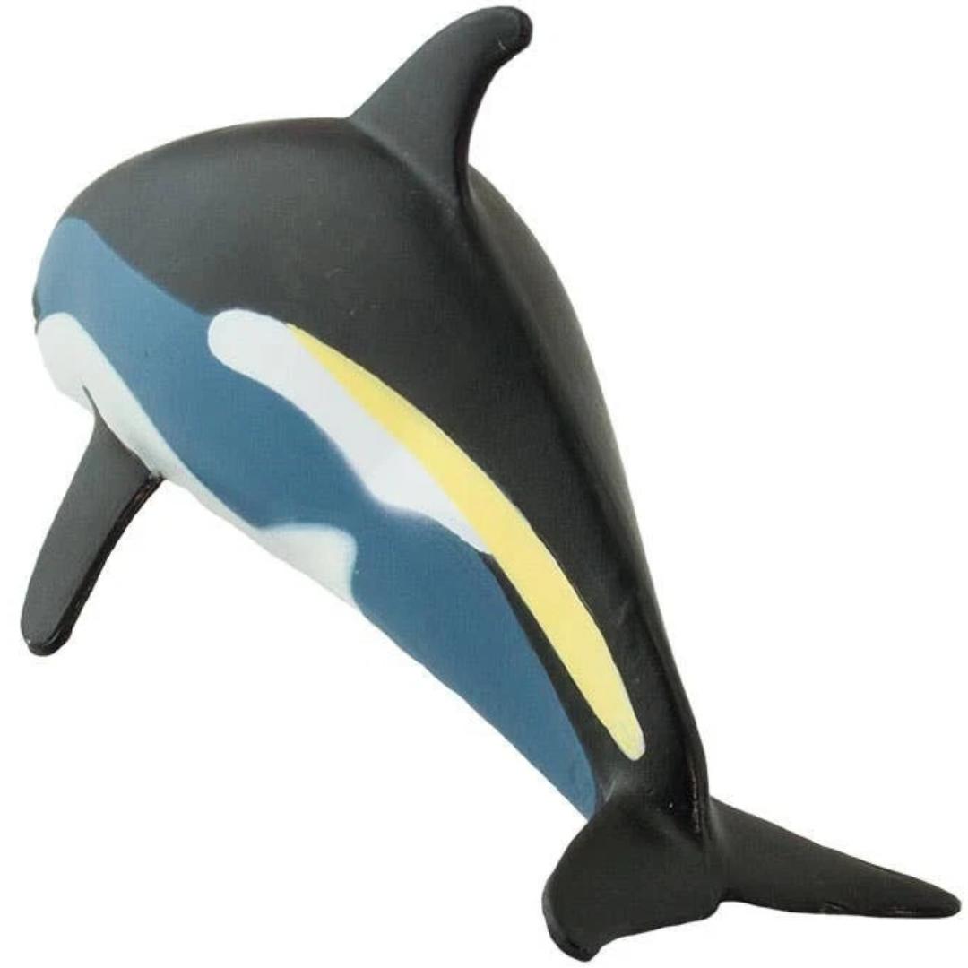 Atlantic White Sided Dolphin Figure - Hand Painted & Collectible Toy - Safari Ltd 100366