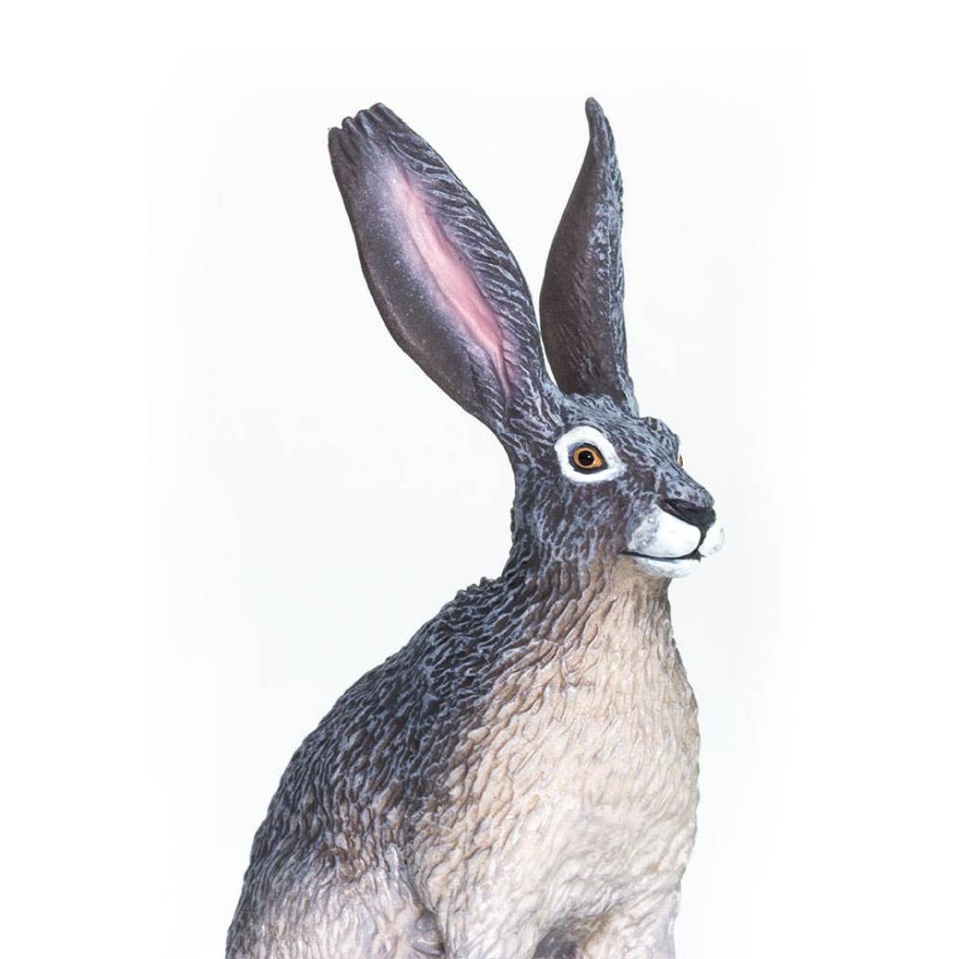 American Desert Hare Figure - Hand Painted & Collectible Toy - Safari Ltd 182029