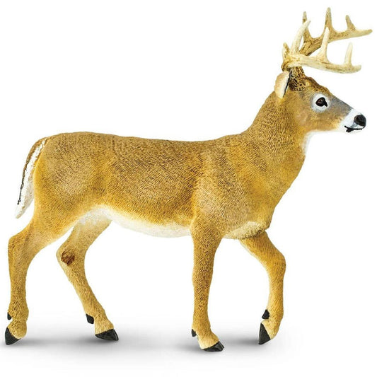 Whitetail Buck 6 inch Figure - Hand Painted & Collectible Toy - Safari Ltd 113589