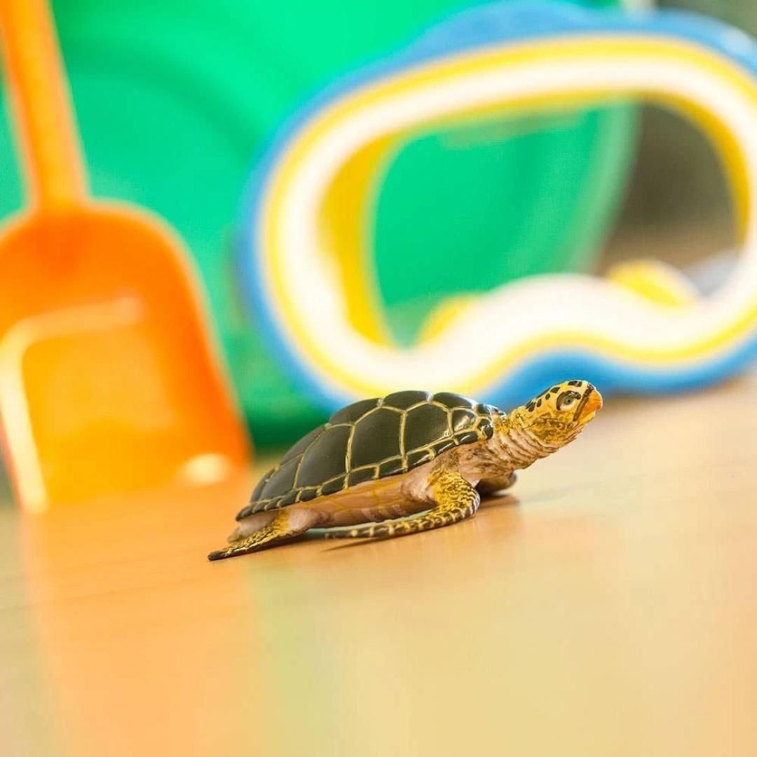Green Sea Turtle Figure - Hand Painted & Collectible Toy - Safari Ltd 274329