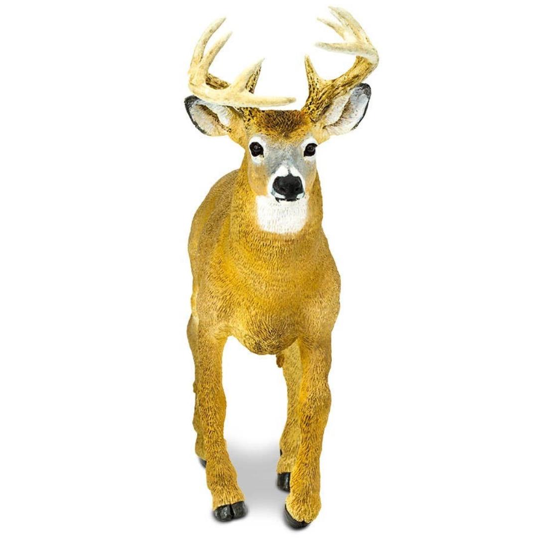 Whitetail Buck 6 inch Figure - Hand Painted & Collectible Toy - Safari Ltd 113589