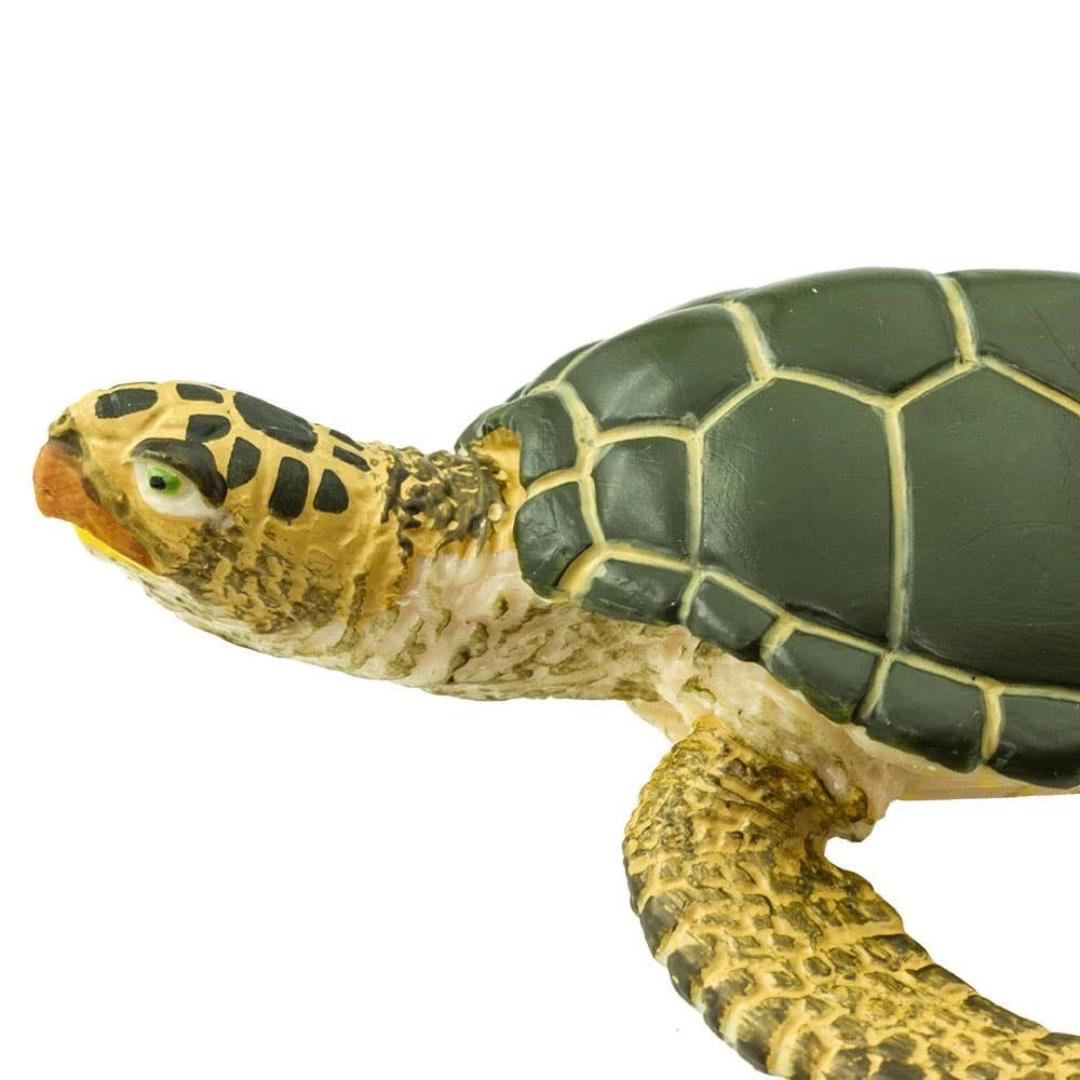Green Sea Turtle Figure - Hand Painted & Collectible Toy - Safari Ltd 274329