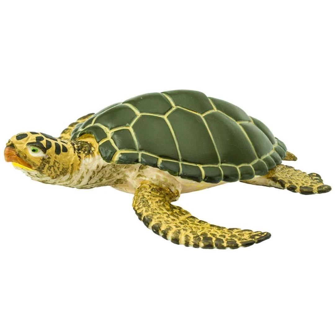 Green Sea Turtle Figure - Hand Painted & Collectible Toy - Safari Ltd 274329